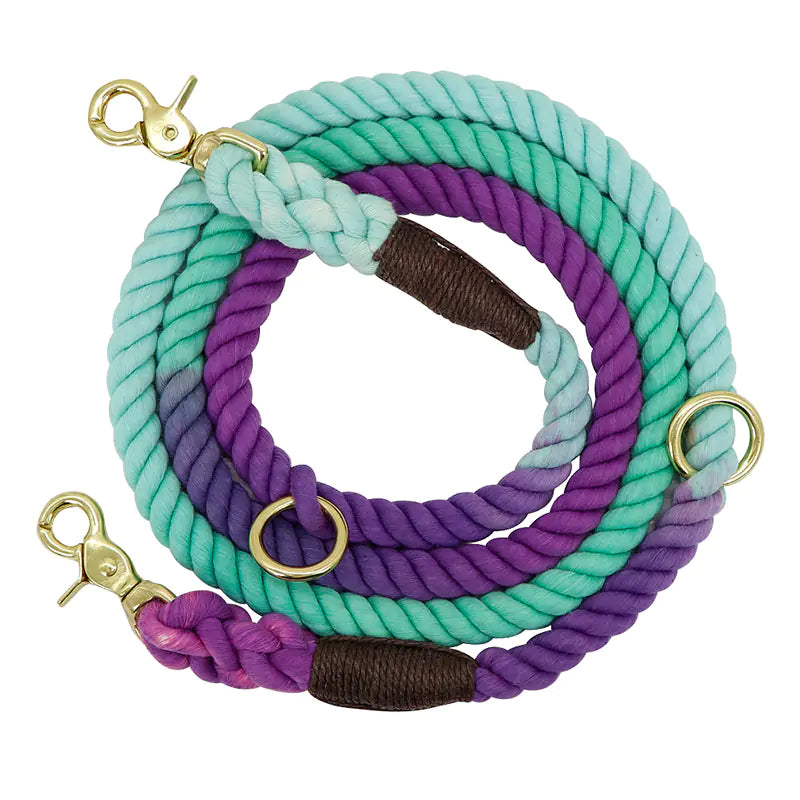 Double Dog Walking Rope with Half-Chain Collar
